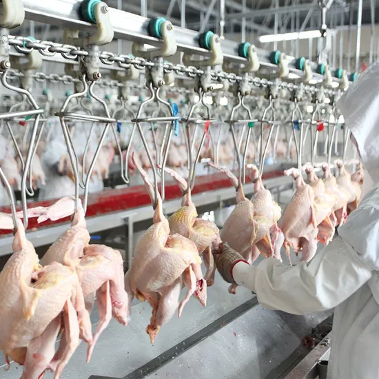 Macchina automatica per la depilazione di polli, anatre, oche e altro pollame